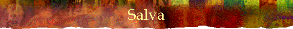 Salva