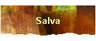 Salva